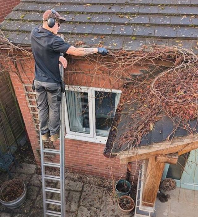 roof-cleaning-8-kireth-ai