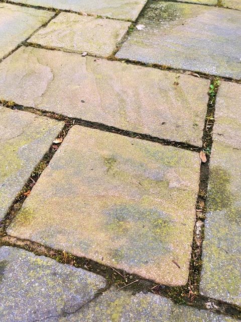 Patio Before Cleaning